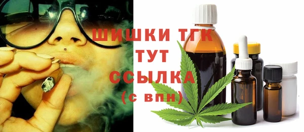 дмт Абаза