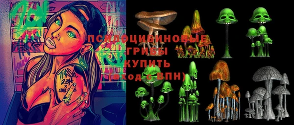 дмт Абаза