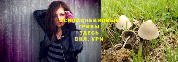 дживик Алзамай