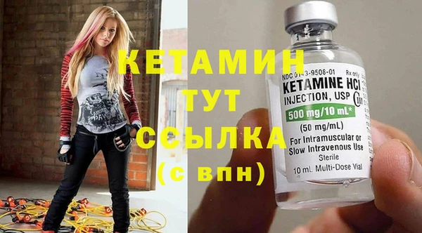 сатива Абинск