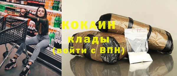 сатива Абинск