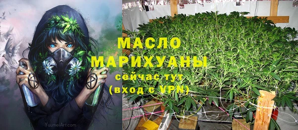сатива Абинск
