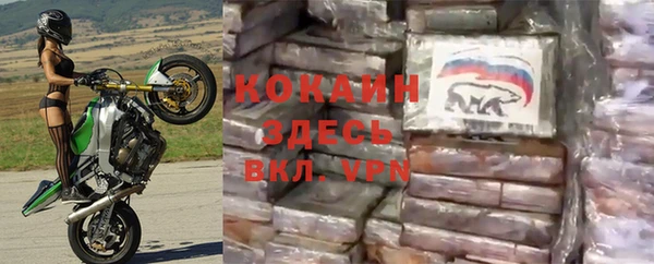 дмт Абаза