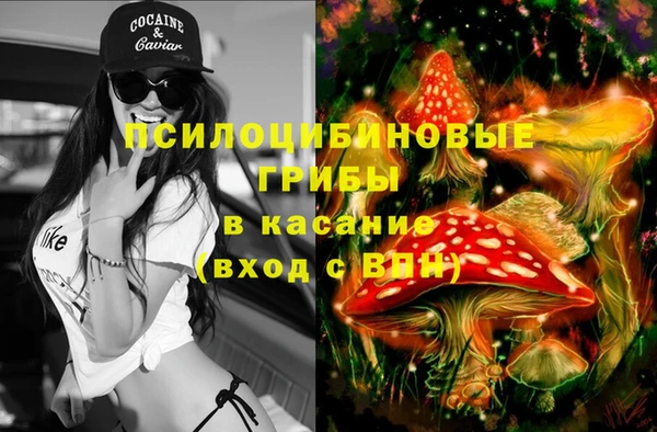дмт Абаза