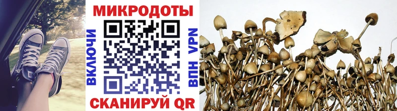 Псилоцибиновые грибы ЛСД  Троицк 