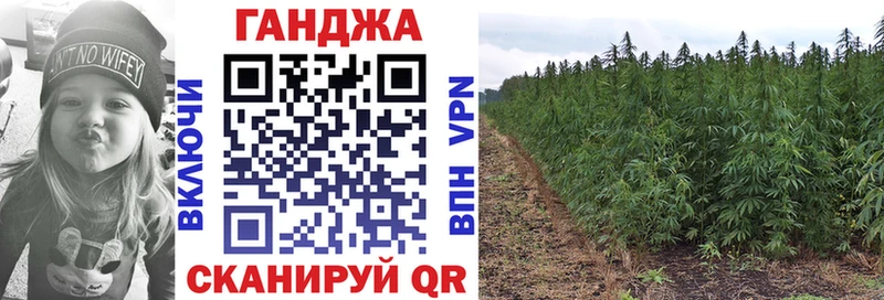 Каннабис планчик  блэк спрут зеркало  Троицк 